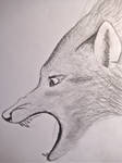 Wolf by QuarterQuell
