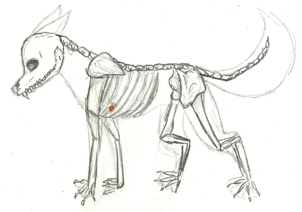 Awkward Skeleton Awkward Skeleton by chlorophyll-kid on DeviantArt