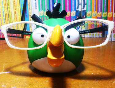 Green Bird Wearing Glasses