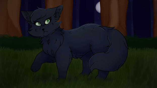 Hollyleaf