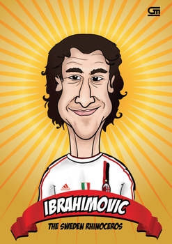 Ibrahimovic book 2