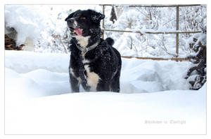 snowbathing