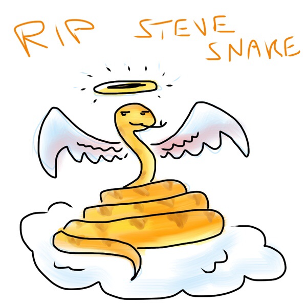 RIP Steve Snake