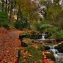 Woodland Stream.