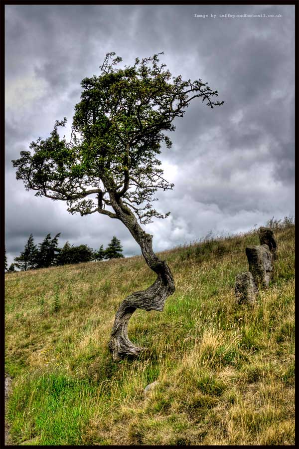 Wind and Wuthering