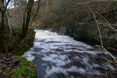 Explore the Best Ribble Art | DeviantArt