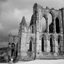 @ Riveaulx Abbey (infrared)