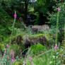 At The Bronte Waterfall, near Haworth.