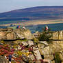 Ilkley Crags. West Yorkshire - UK.