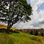 The Lonely Ruin - Top Withins, near Haworth - UK.