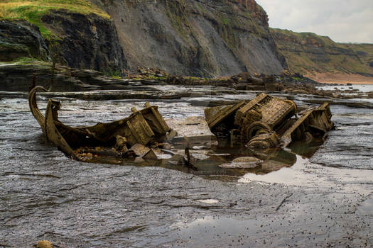 At Saltwick Bay - Whitby.