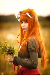 Horo in Field #1