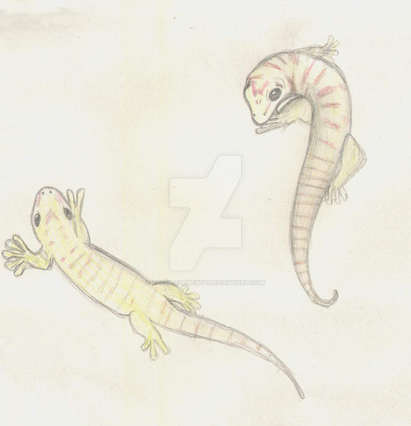 Gecko Deviantart Gecko by delta-elements on DeviantArt