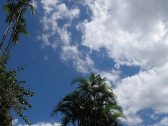 beach sky scenery