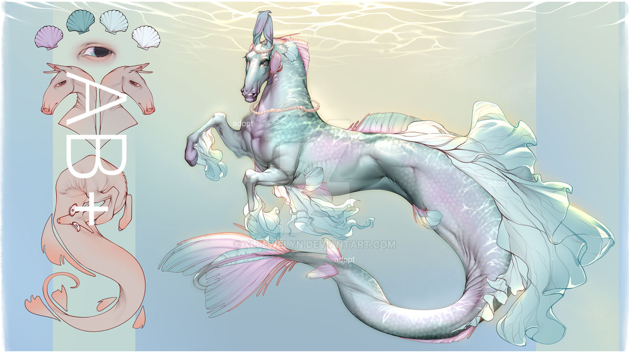 Hippocampus Adopt #1