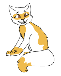 swiftpaw