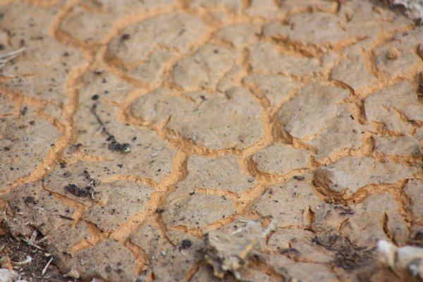 Texture Stock 31