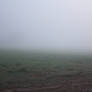 Foggy Day Stock o1