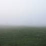 Foggy Day Stock o3