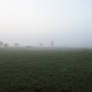 Foggy Day Stock o4