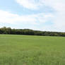 Open Field Stock o2