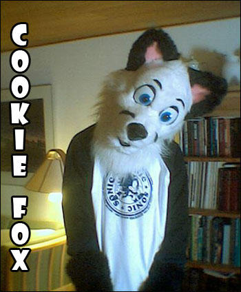 Cookie the fox by crispy-c on DeviantArt