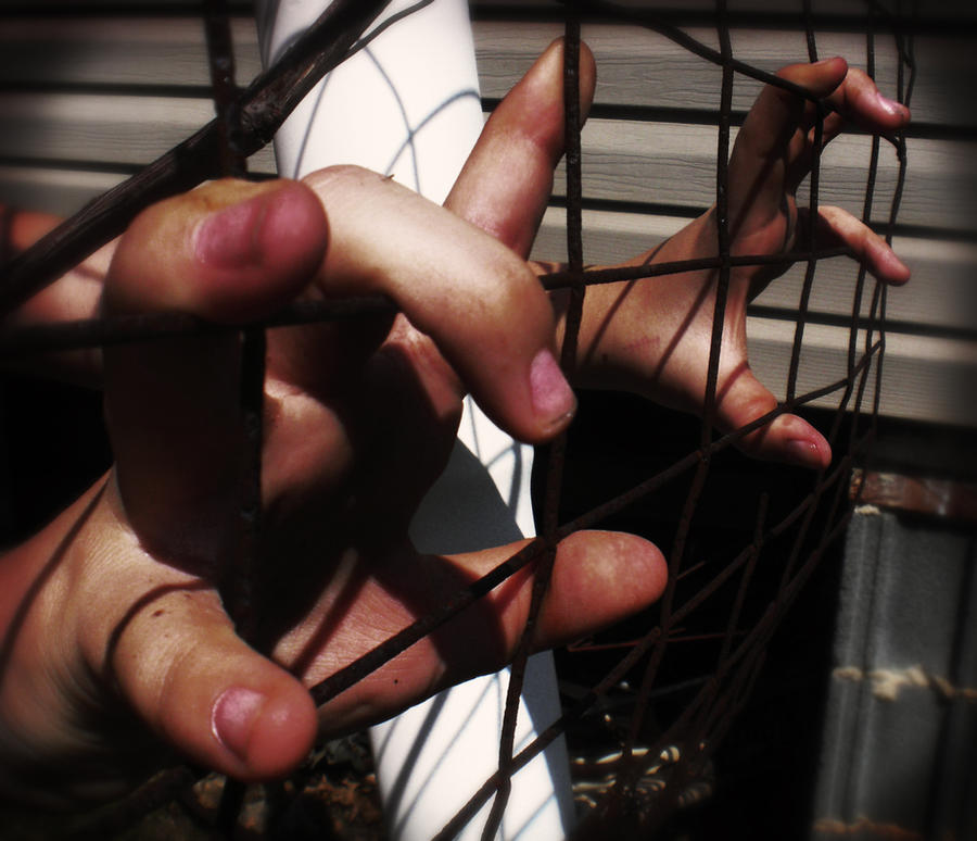 Pinterest Caged Caged In by MelissaTurner on DeviantArt