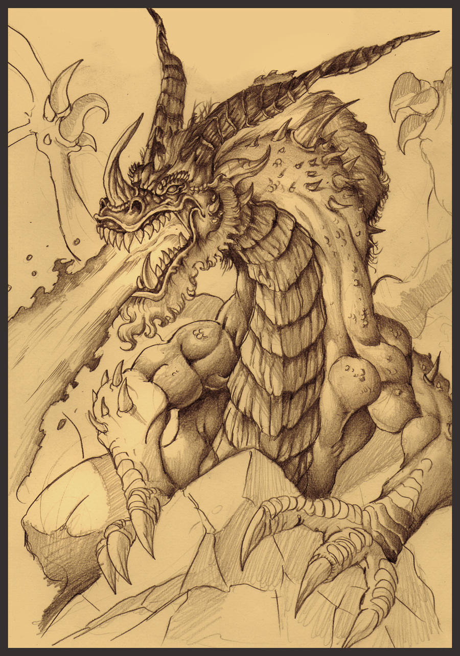 Dragon sketch