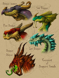 Concept Heads Dragons