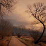 Marki a moment before a rain