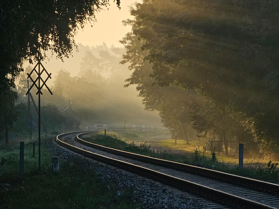 Every day is a new journey, isn't it? :)