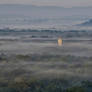 Buddha in the mist