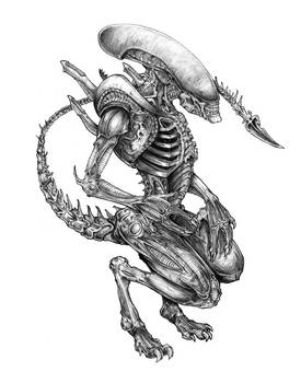 Xenomorph