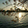 Sunrise over the Jefferson Memorial