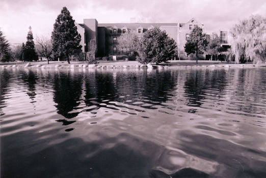 pond and building