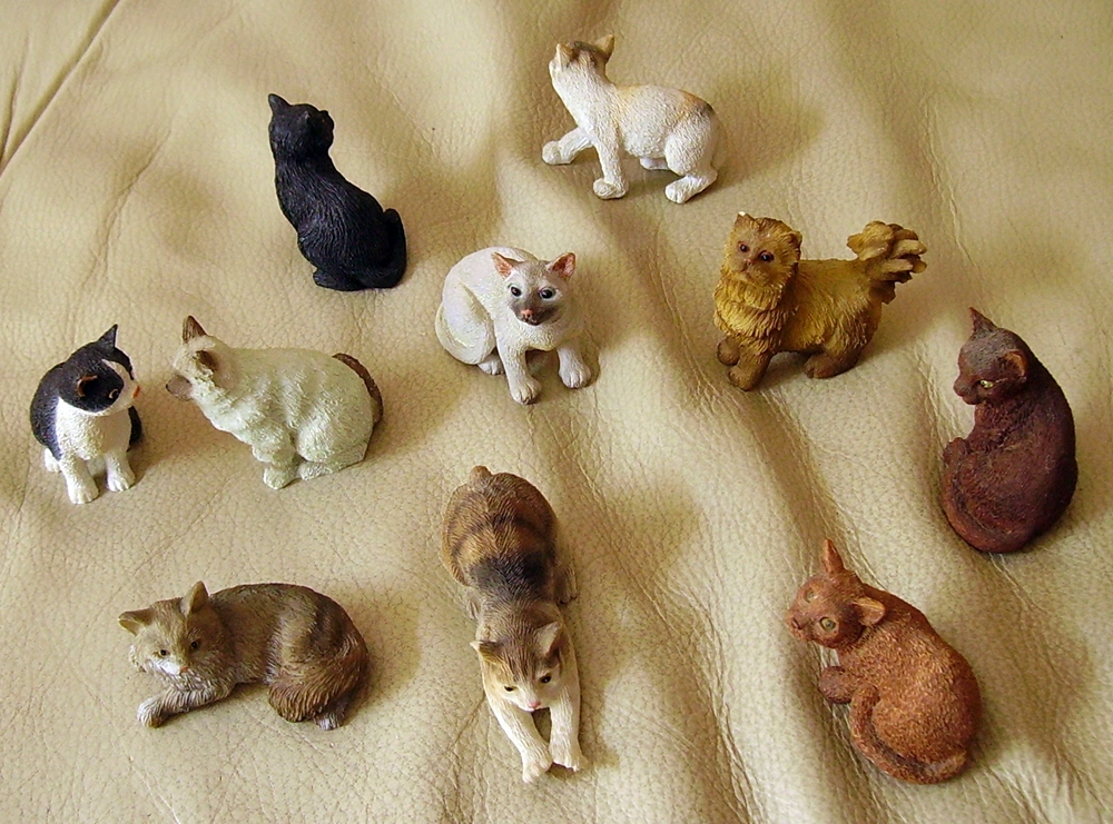 Army of cats (1)