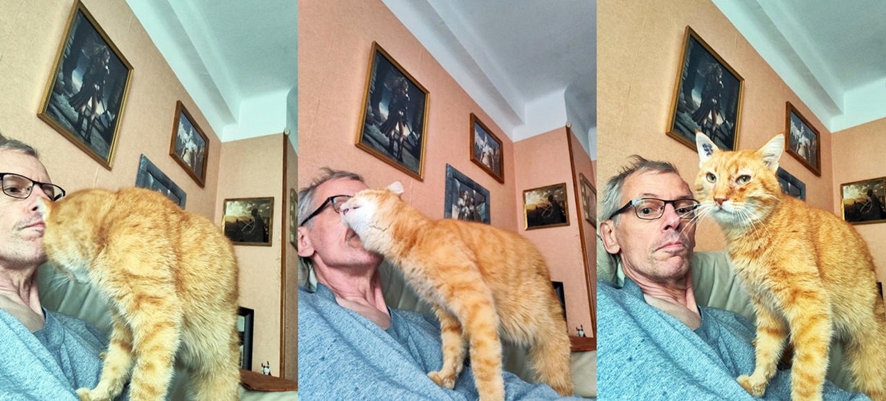Affection Du Chat Roux Convalescent By Catvalry Commander On Deviantart Affection Du Chat Roux Convalescent By Catvalry Commander On Deviantart