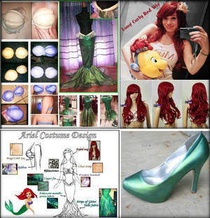 Ariel cosplay planing