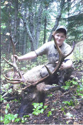 My 5x5 Bull Elk