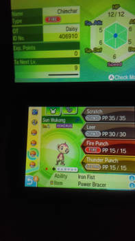 Shiny HA chimchar