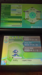 Shiny female HA Popplio.