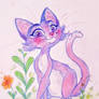 Lilac kitty