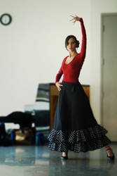 #flamencodancing | Explore flamencodancing on DeviantArt