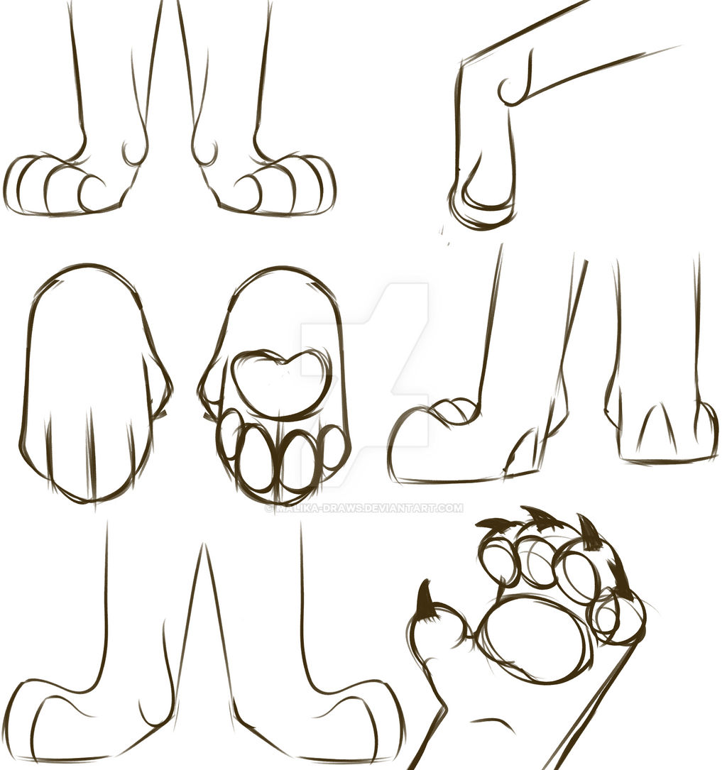 Paw Sketches by Malika-Draws on DeviantArt