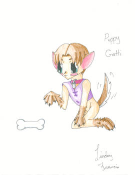 Puppy Gatti