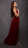 Red Dress Stock 05