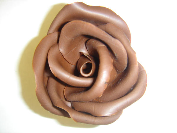 Chocolate Rose