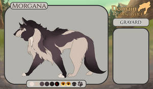 DotW - Quick Morgana of Grayard