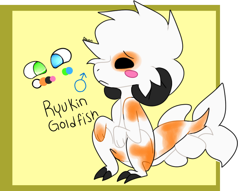 Pirate - Ryukin Goldfish