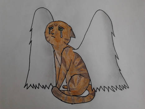 Angelcat